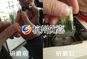 杭州宋慈植物組織研磨儀研磨植物葉片實驗